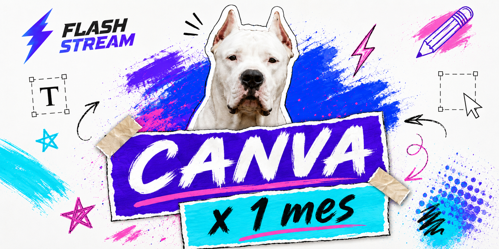 CANVA X 1 MES